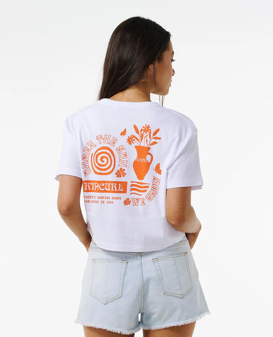 AMPHORA CROP TEE